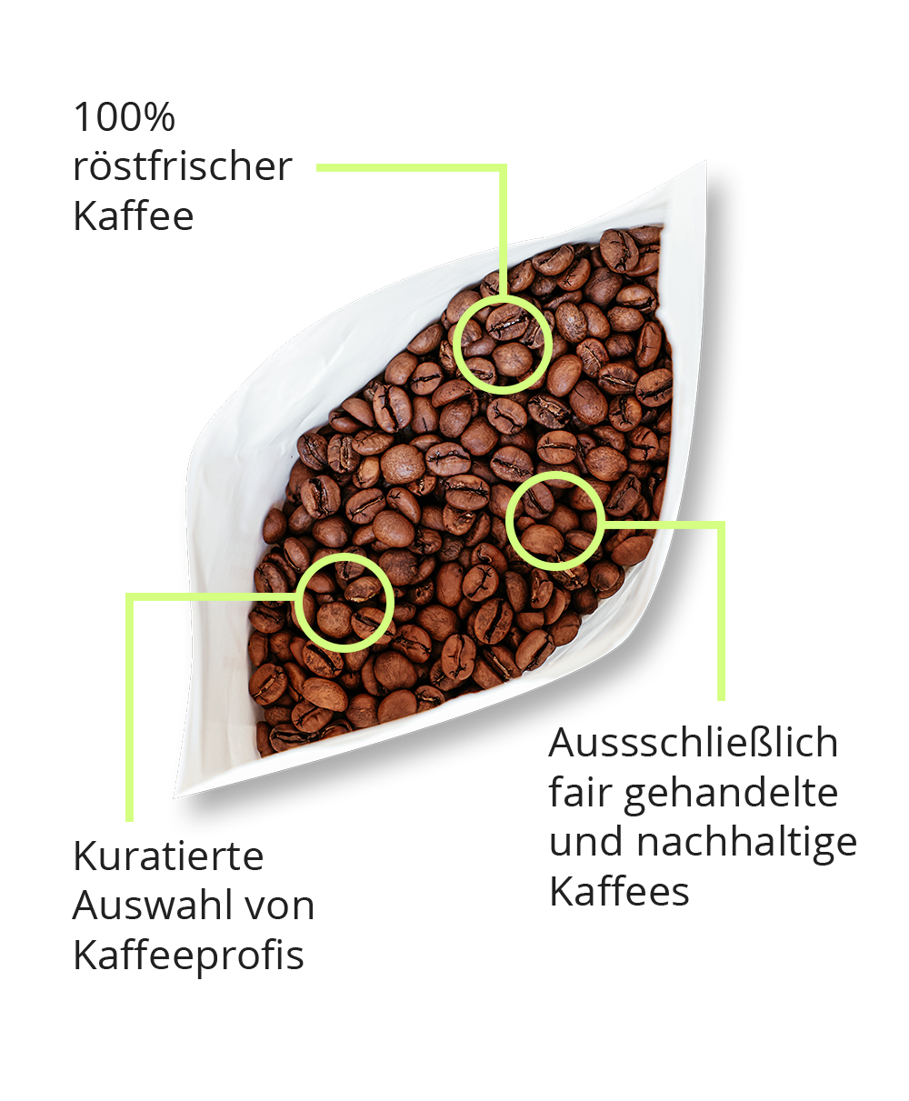 Meta Ad LP Creative.png__PID:1179d820-5d40-4c4f-a09c-6c672302f1b2