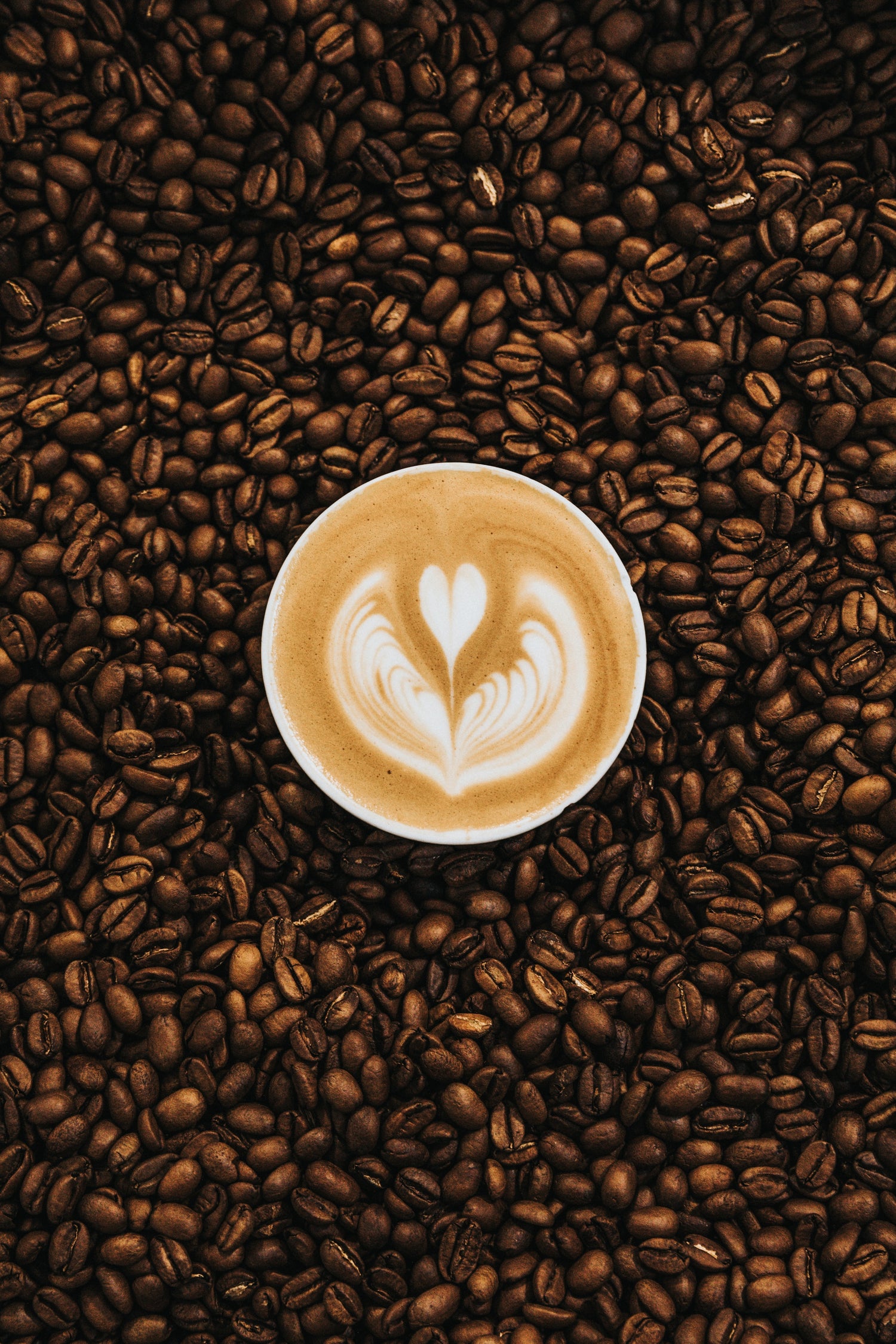 Geschenkabo Kaffee