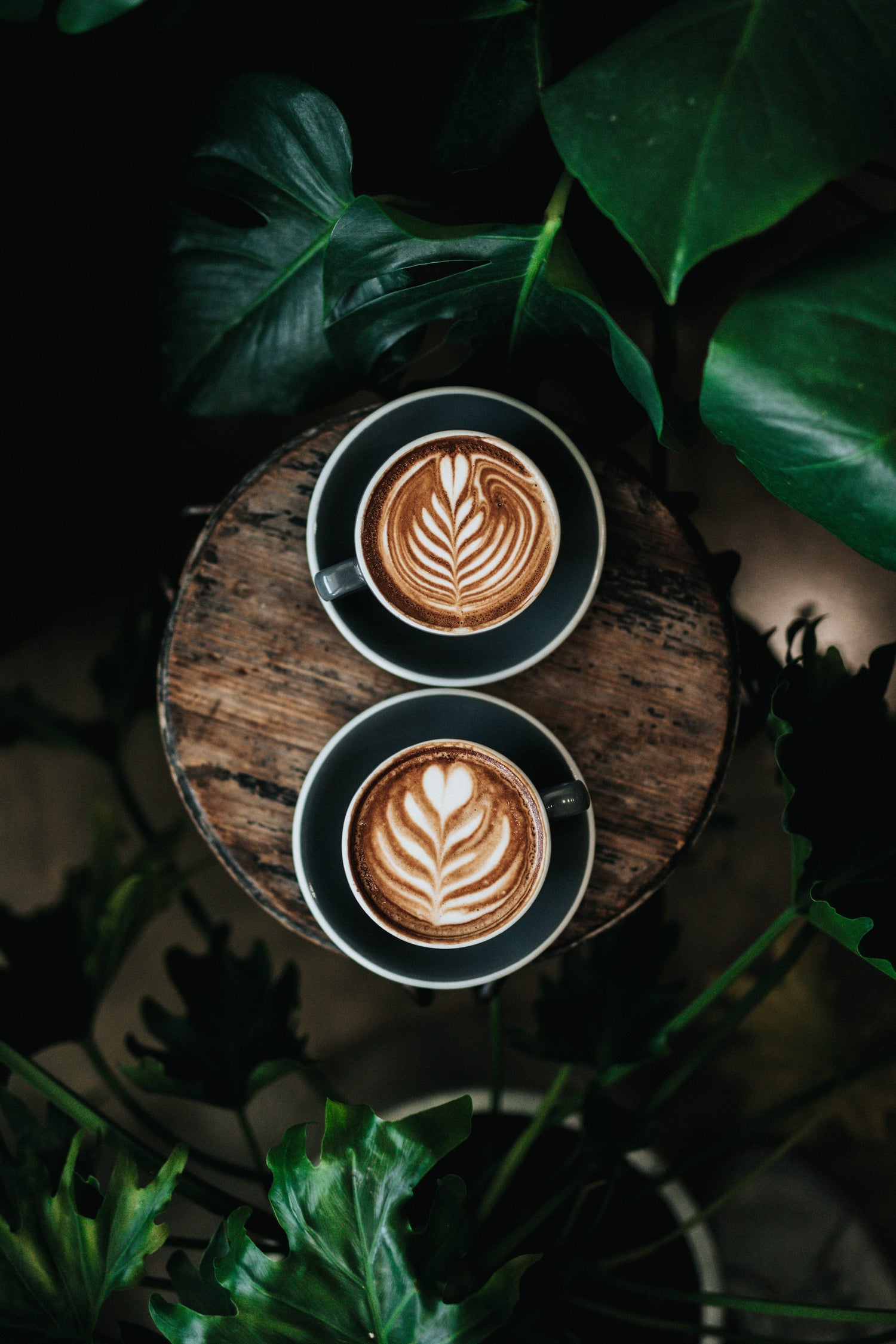 kaffee geschenkabo bestellen