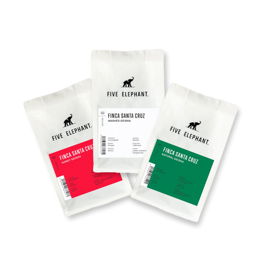 Five Elephant Finca Santa Cruz Geisha Probierset Filter