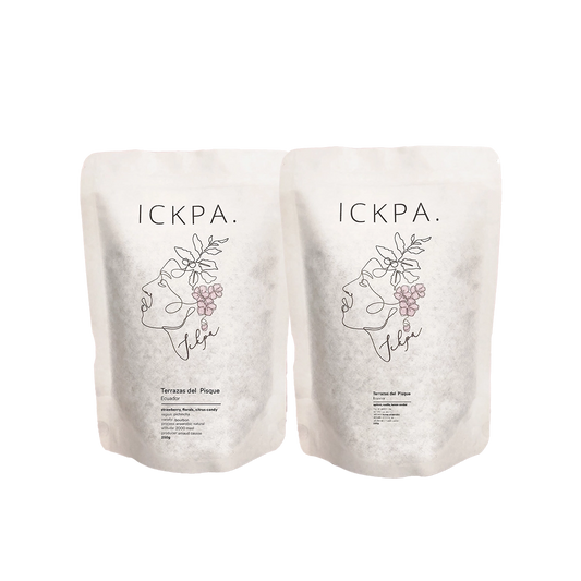 ICKPA Ecuador Probierset Filter