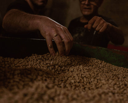 Nomad Omar Arango Espresso