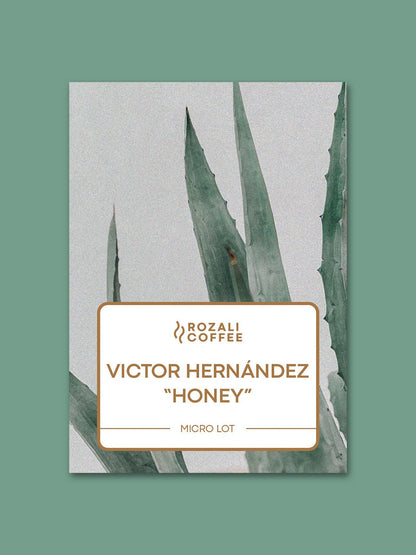 Rozali Victor Hernández Honey Filter - 60beans